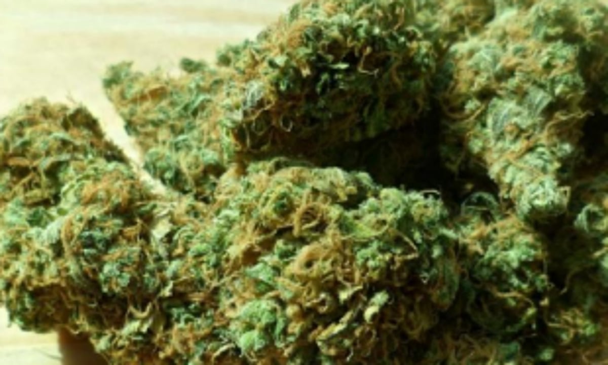 Fatorda Police seize ganja worth Rs 2L