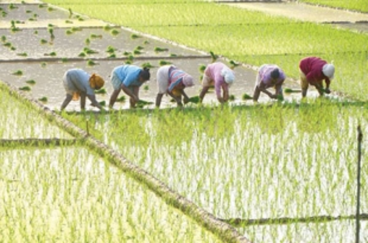 Fatorda farmers issue a clarion call to  revive farming activity in constituency