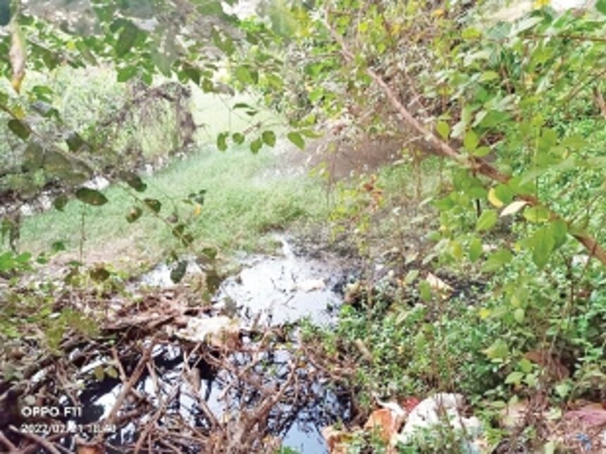 Fatorda locals express anger over sewage waste release into pond 1 Fatorda locals express anger over sewage waste release into pond