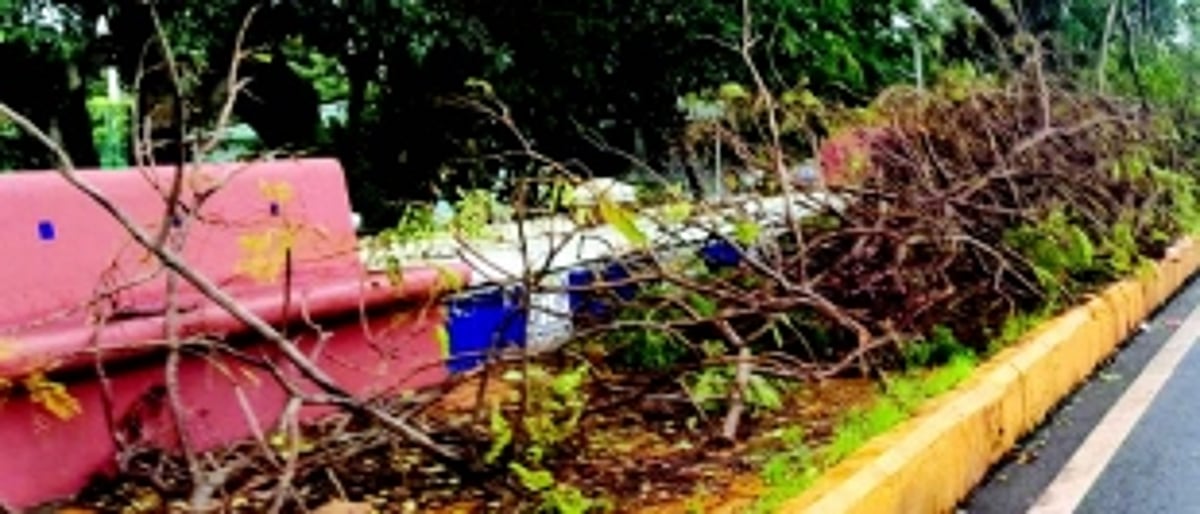 Fatorda locals slam delay in clearing tree branches left to rot on pavements