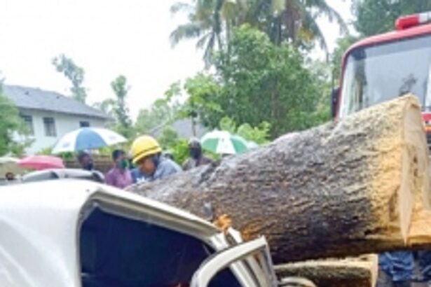 Fatorda resident dies as tree crashes on car at Senaulim