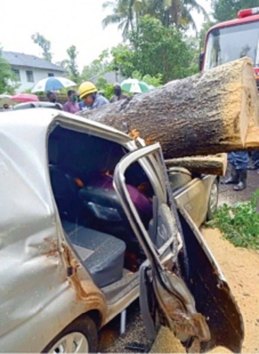 Fatorda resident dies as tree crashes on car at Senaulim