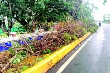 Fatorda residents fume over discarded branches on footpaths