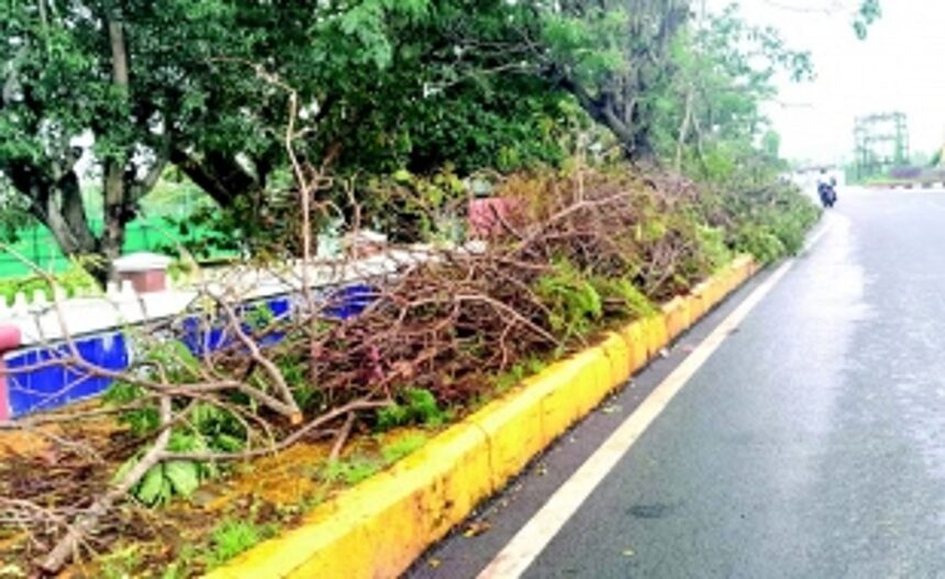 Fatorda residents fume over discarded branches on footpaths 1 Fatorda residents fume over discarded branches on footpaths