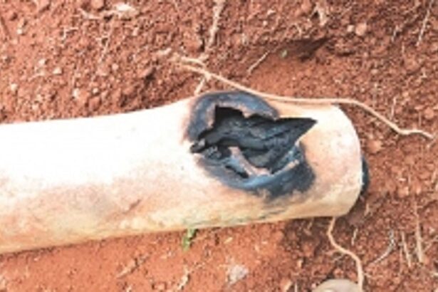 Faulty insulators and conductors to blame for frequent power outages in South Goa, claims Electricity Department