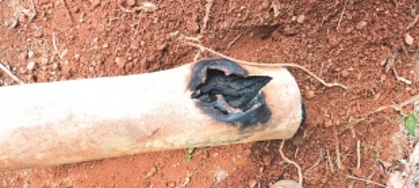 Faulty insulators and conductors to blame for frequent power outages in South Goa, claims Electricity Department