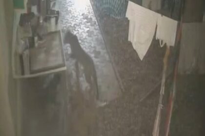 Fear among Malpem, Sattari residents with leopard on the prowl