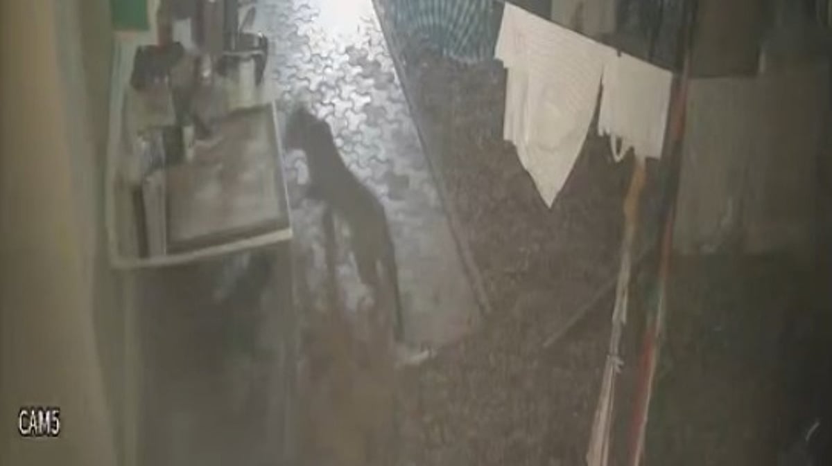 Fear among Malpem, Sattari residents with leopard on the prowl