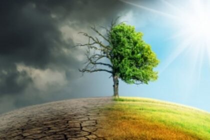 Fear and anxiety over climate change