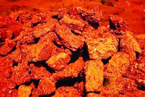 Fearing action, mine owners ‘clear’ machinery from illegal laterite mining sites at Mhaisal