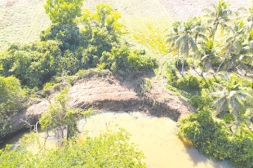 Fearing loss of ecology, activists want WRD’s ‘unscientific’ de-silting of River Sal halted