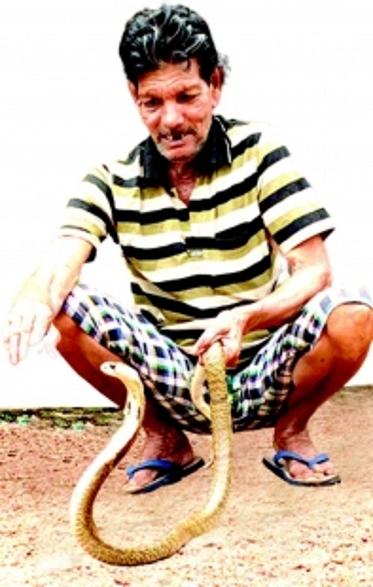 Fearless Francis Monteiro, guardian of Goa’s slithering residents