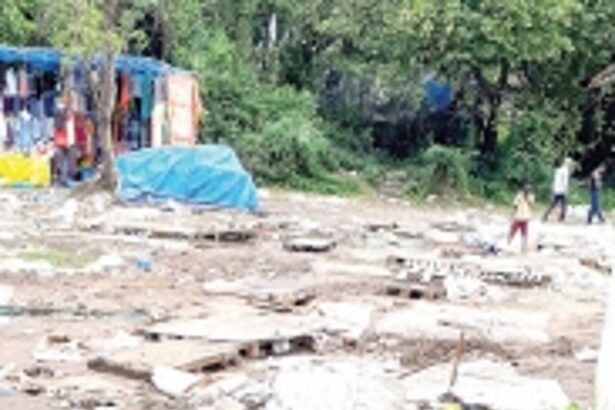 Feast leftovers  at Navelim