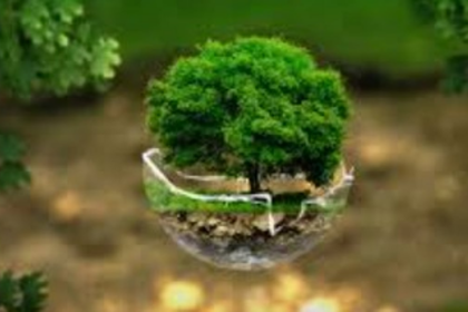 Federation of Rainbow Warriors Warns of Real Estate Development Threatening Goa’s Environment