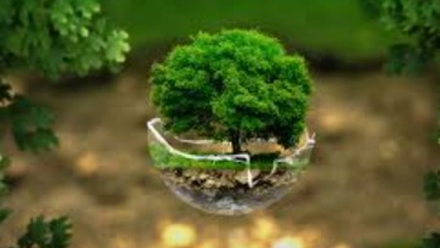 Federation of Rainbow Warriors Warns of Real Estate Development Threatening Goa’s Environment 1 Federation of Rainbow Warriors Warns of Real Estate Development Threatening Goa’s Environment
