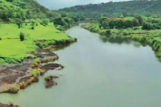 Feeble response weakens Goa’s Mhadei case