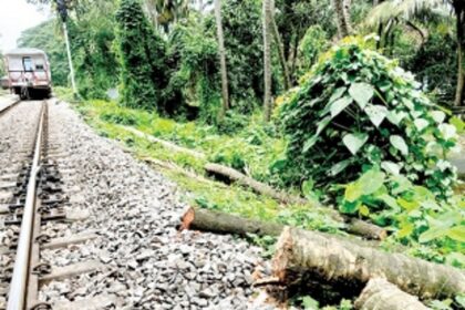Felling of coconut trees by railways angers locals