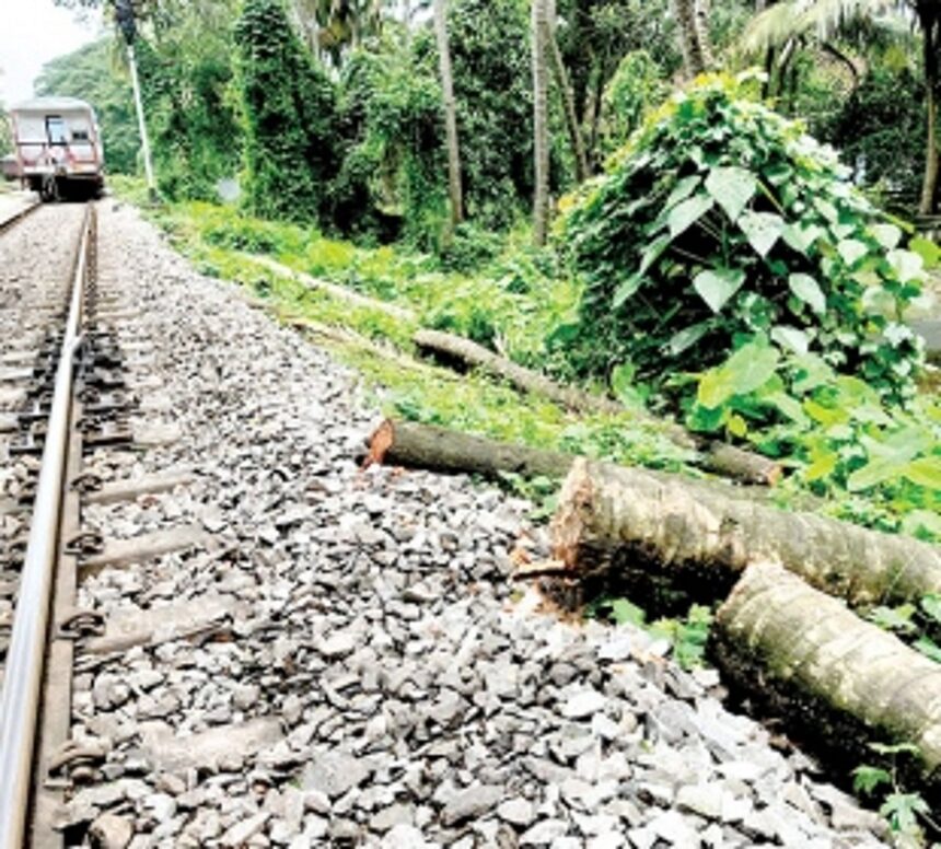 Felling of coconut trees by railways angers locals
