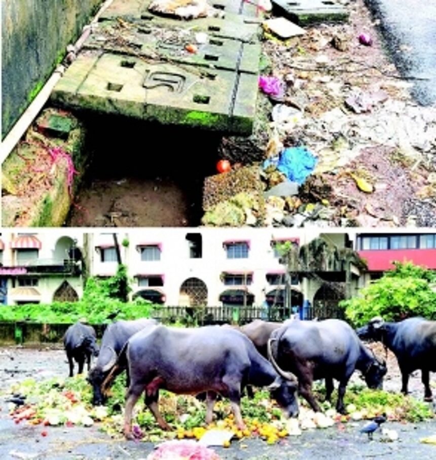 Festering state of SGPDA market 1 Festering state of SGPDA market
