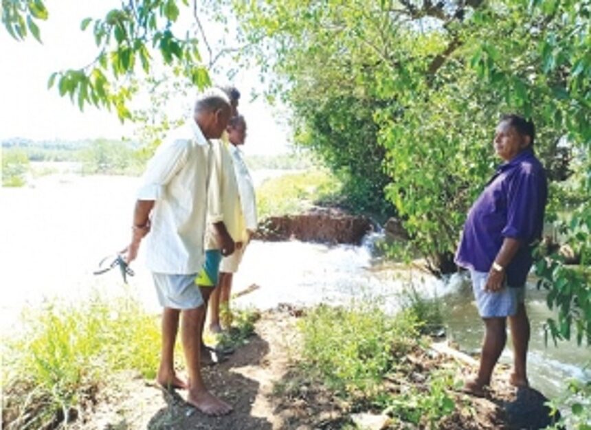 Fields submerged: Farmers demand compensation, reconstruction of bandaras