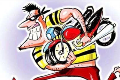 Fifty per cent of stolen vehicles recovered by police in South Goa