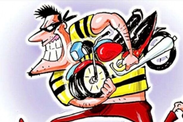 Fifty per cent of stolen vehicles recovered by police in South Goa