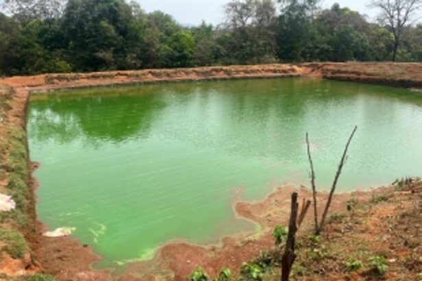 Fight for clean water by Sacorda villagers continues, interdepartmental inspection of polluted Ragada river held