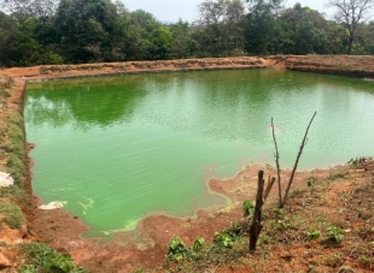 Fight for clean water by Sacorda villagers continues, interdepartmental inspection of polluted Ragada river held