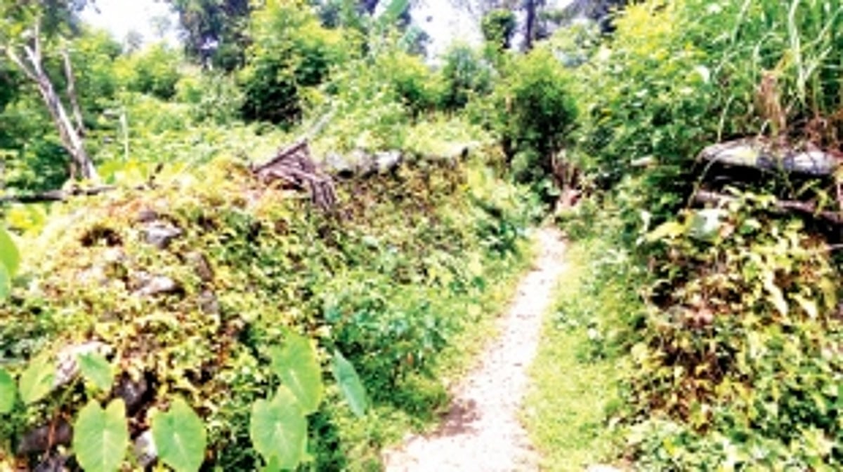 Fighting for a road for past 25 years