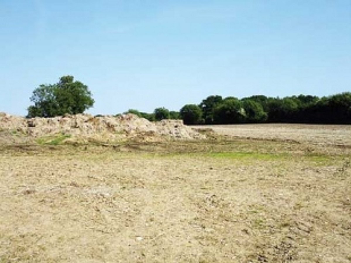 Fighting for fallow fields  in the Mamlatdar’s court