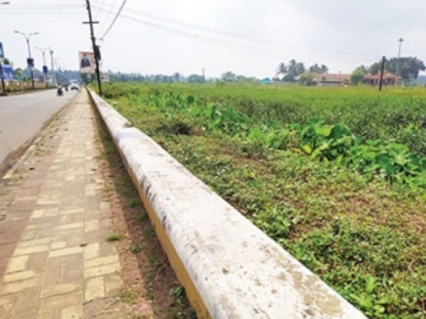 Fighting for their rights:   struggle of farmers from Mapusa to save their land