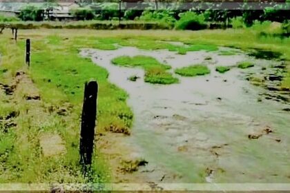 Filthy water fouls agri fields in Cuncolim