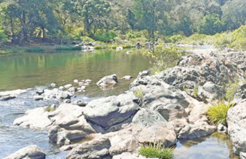 Finally, Govt wakes up from  slumber to raise concern  before Jal Shakti Ministry