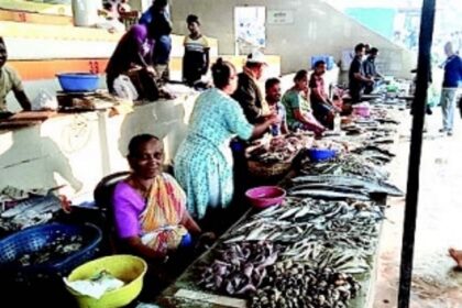 Finally, Marcel roadside vendors move to new market shed