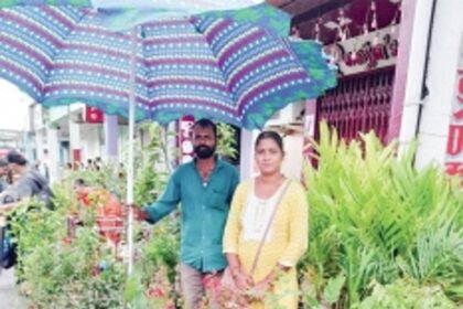 Find your green thumb this monsoon