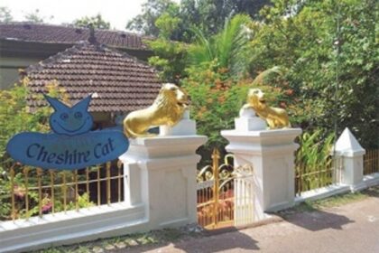 Finding art in the trails