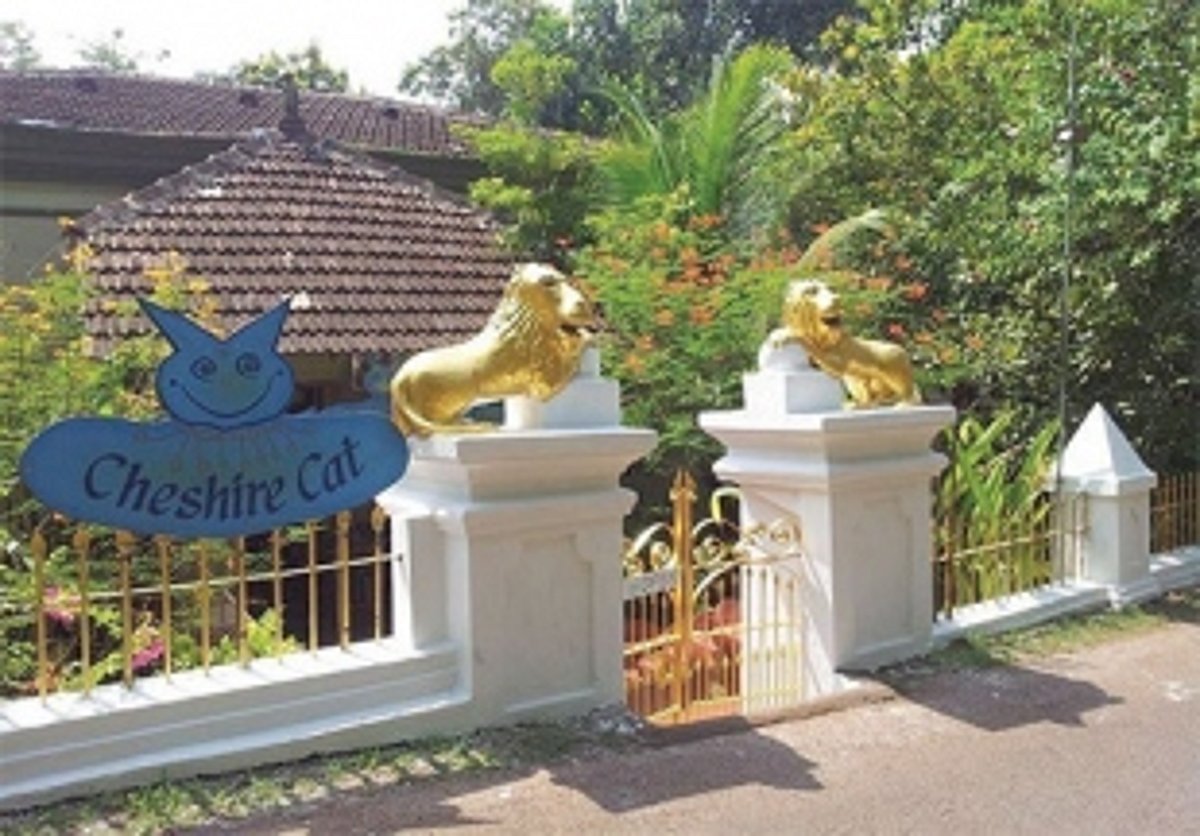 Finding art in the trails