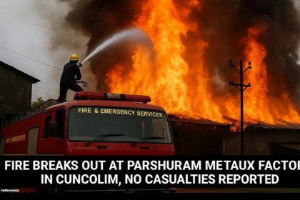 Fire Breaks Out at Parshuram Metaux Factory in Cuncolim, No Casualties Reported