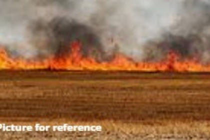 Fire Breaks Out in Dry Grass Field in Taleigao, Suspected to Be Deliberate