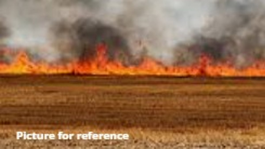 Fire Breaks Out in Dry Grass Field in Taleigao, Suspected to Be Deliberate 1 Fire Breaks Out in Dry Grass Field in Taleigao, Suspected to Be Deliberate