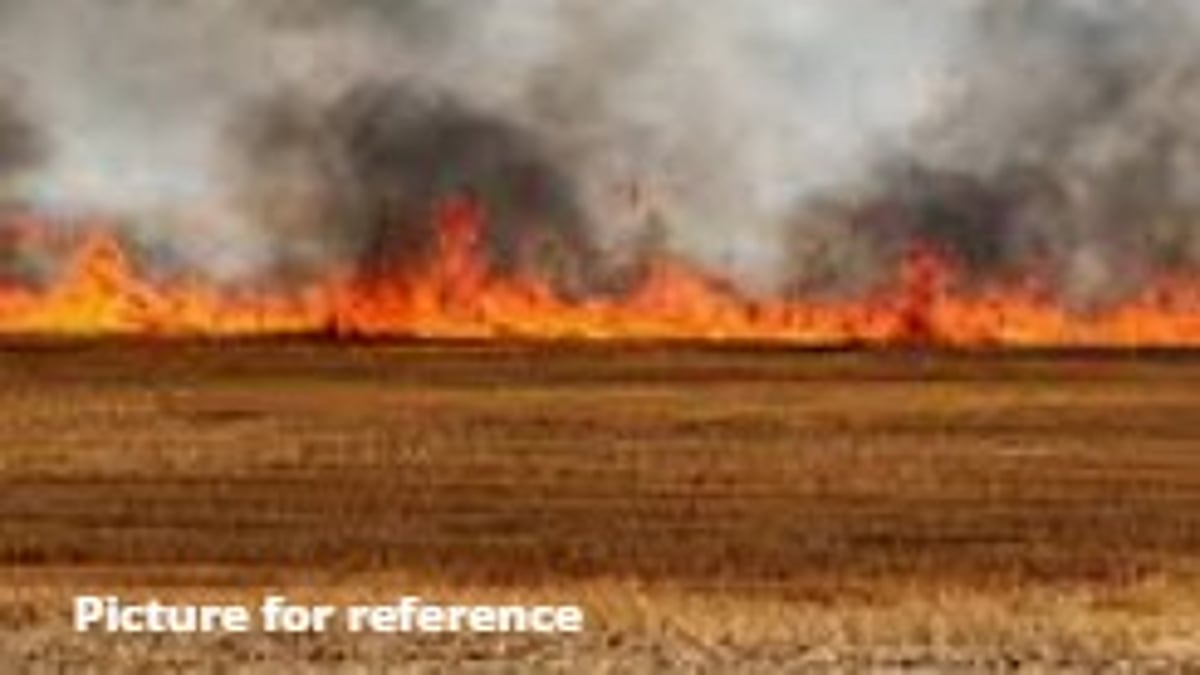 Fire Breaks Out in Dry Grass Field in Taleigao, Suspected to Be Deliberate