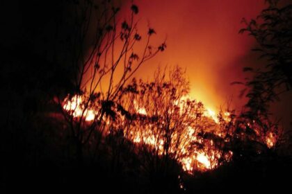 Fire at Sonsodo on Saturday.