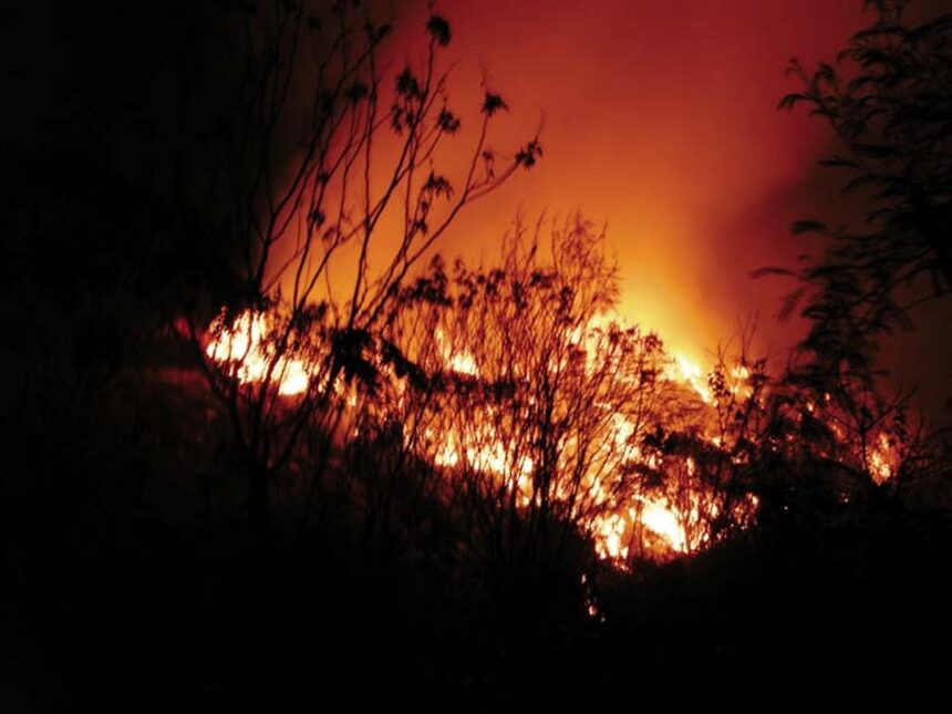 Fire at Sonsodo on Saturday.