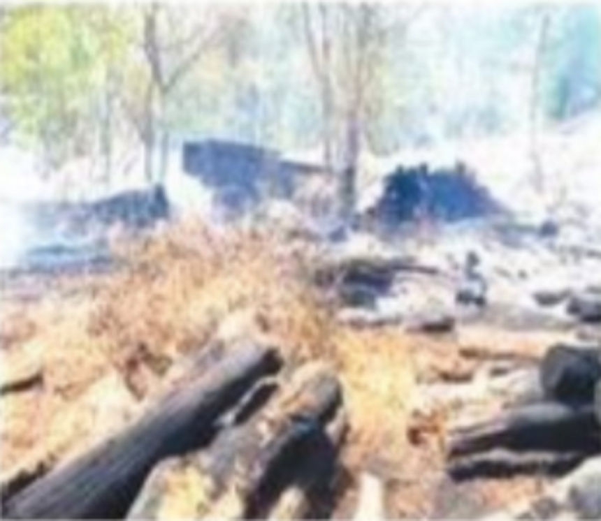 Fire at saw mill in Nessai destroys wood, equipment worth lakhs of rupees 1 Fire at saw mill in Nessai destroys wood, equipment worth lakhs of rupees