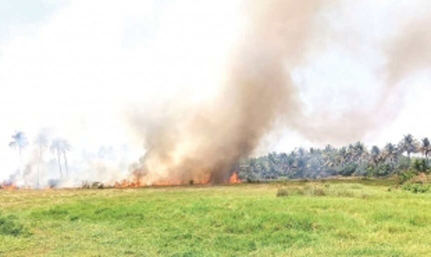 Fire breaks out in Taleigao fields