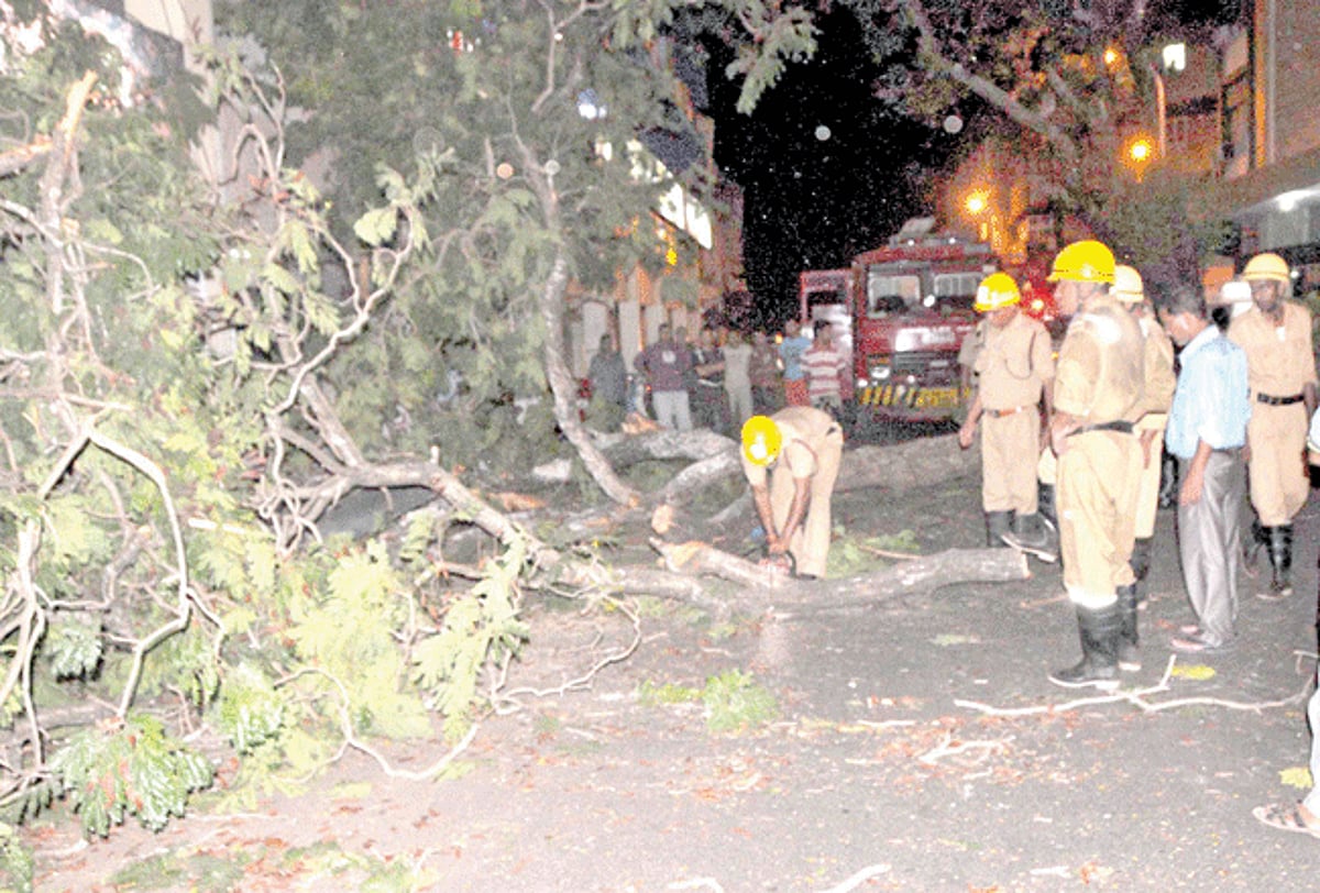 Fire brigade personal cutting off the branches of an uprooted tree on 18th June road, Panjim.