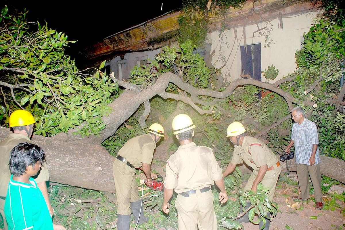 Fire brigade personnel clearing the road after a 100-year-old mango tree got uprooted late Saturday evening  in the city near Anjuman Nurul Primary School.                                                       Photo by Rozario Estibeiro