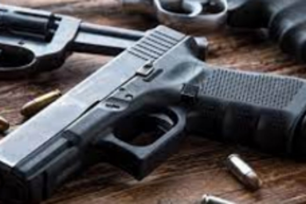 Firearms used with frightening frequency  rattles Goa