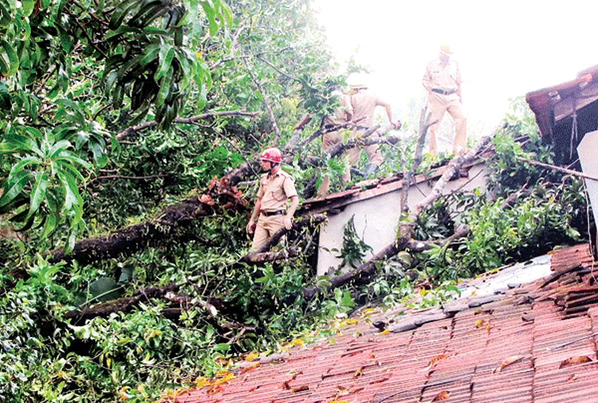 Firefighters attend to an uprooted tree which fell on a house at Vathadev in Bicholim.