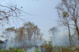 Fires raging for 10 days in  Goa’s forests finally doused